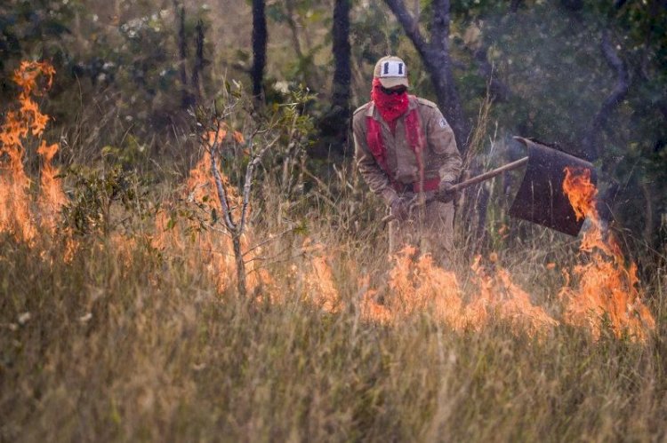 Período proibitivo do uso do fogo em Mato Grosso vai de julho a setembro