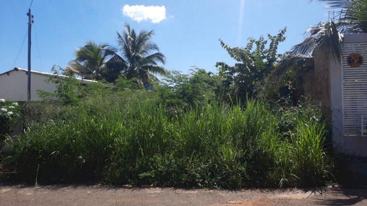 Prefeitura lança decreto sobre limpeza de lotes, terrenos baldios e vias públicas