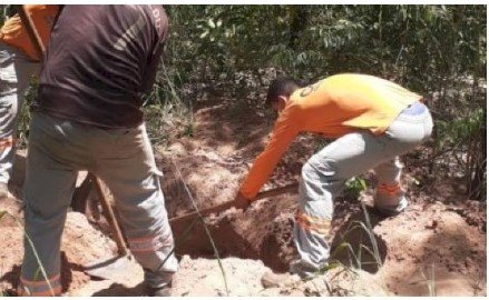 Ossada humana é localizada enterrada em área de mata de MT