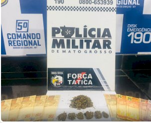 POLÍCIA MILITAR DO 5º COMANDO REGIONAL REGISTRA APREENSÕES DE ENTORPECENTES DURANTE SERVIÇO DIÁRIO