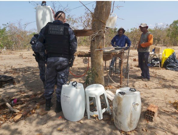 PM IMPEDE INVASÃO E DESMATAMENTO ILEGAL EM FAZENDA DE PONTAL DO ARAGUAIA