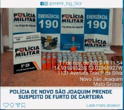 POLÍCIA DE NOVO SÃO JOAQUIM PRENDE SUSPEITO DE FURTO DE CARTEIR