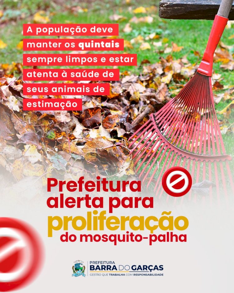 Leishmaniose: Prefeitura de Barra do Garças alerta para a proliferação do mosquito-palha